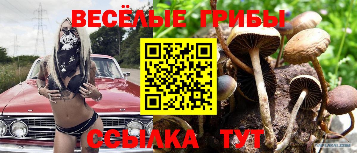 Галлюциногенные грибы мицелий Выборг