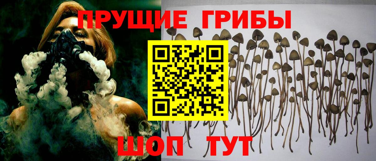 Выборг  Псилоцибиновые грибы ЛСД  Галлюциногенные грибы MAGIC MUSHROOMS  Вход с VPN 