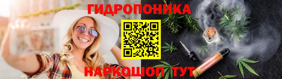 Выборг  Шишки марихуана семена  Бошки Шишки конопля  Вход с VPN  Марихуана тримм 